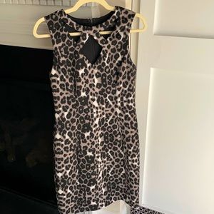 Stretchy Leopard Guess Dress